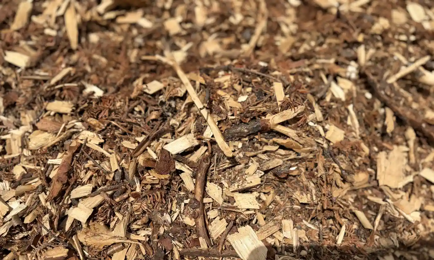 Compost